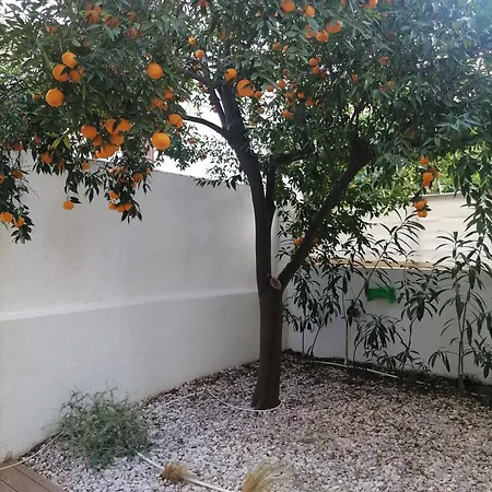 Viktoria's Garden *